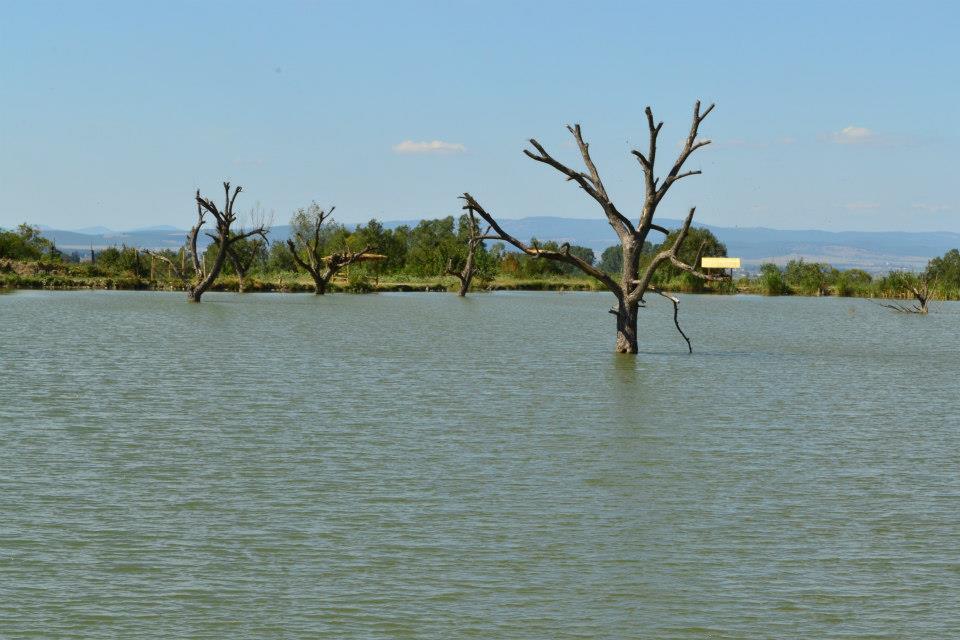 Balta Valea Morii Budila - 14518_100694486767222_1565971830_n.jpg